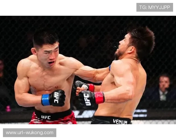 奥马利团队评价宋亚东：野兽级选手，随时具备KO危险